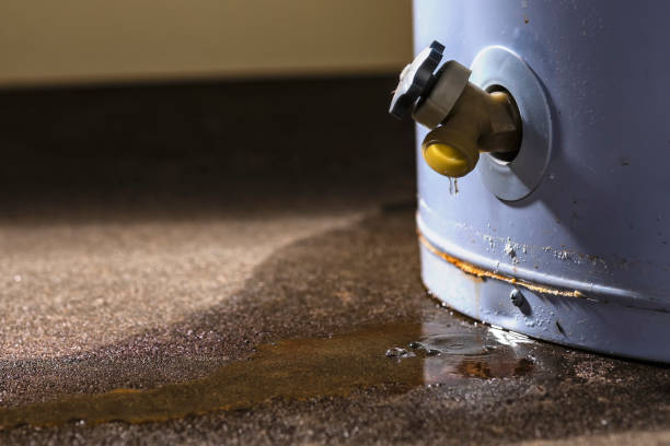 Best Mold removal after water damage  in Brewster, OH
