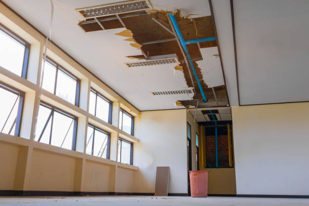 Best Carpet water damage restoration  in Brewster, OH