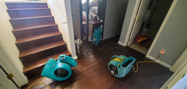 Best Professional water damage repair  in Brewster, OH