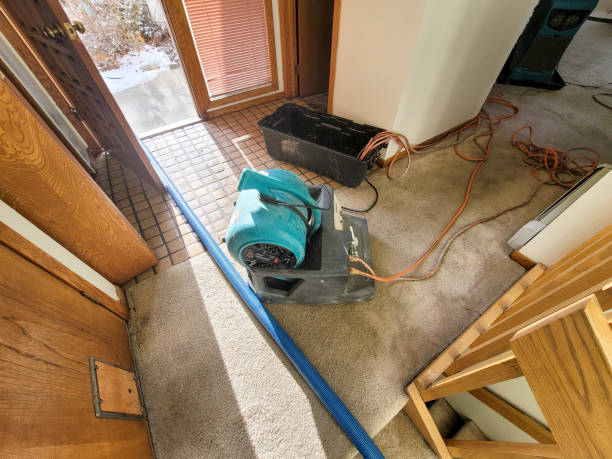 Carpet water damage restoration in Brewster, OH