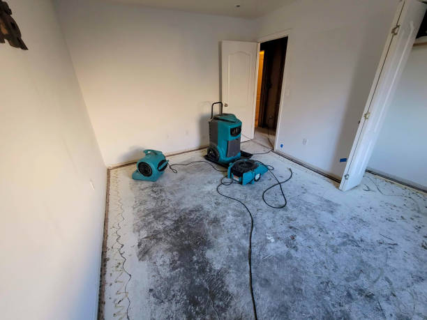 Professional Water damage restoration in Brewster, OH