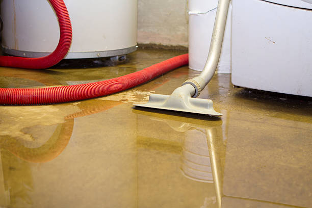 Best Water damage restoration near me  in Brewster, OH