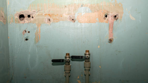 Best Basement water damage restoration  in Brewster, OH