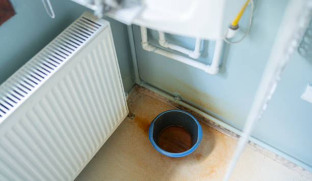 Best Water damage restoration near me  in Brewster, OH