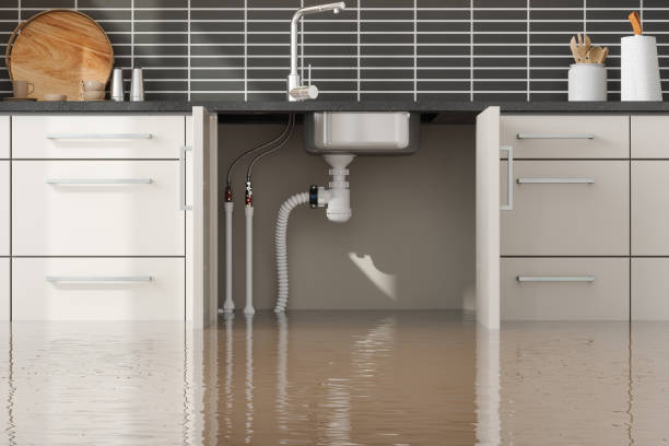 Best Sewage cleanup and water damage restoration  in Brewster, OH