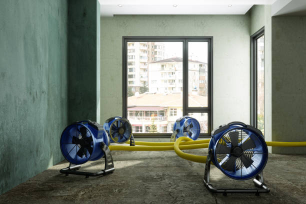 Best Residential water damage restoration  in Brewster, OH